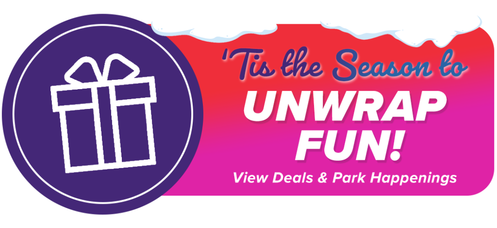 Unwrap The Fun this holiday season at The Funplex