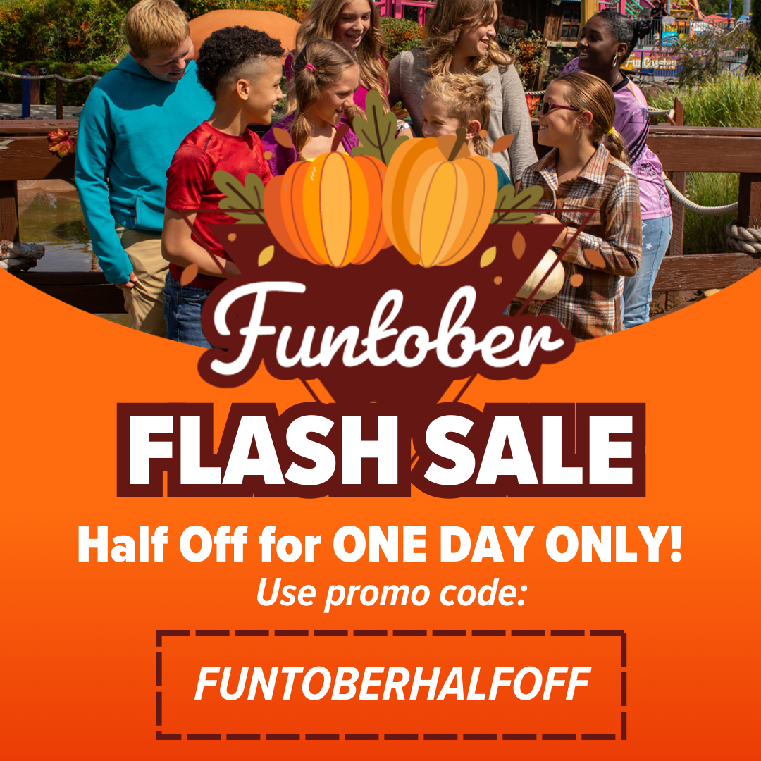 Funtober Flash Sale, half off today only! use code FUNTOBERHALFOFF