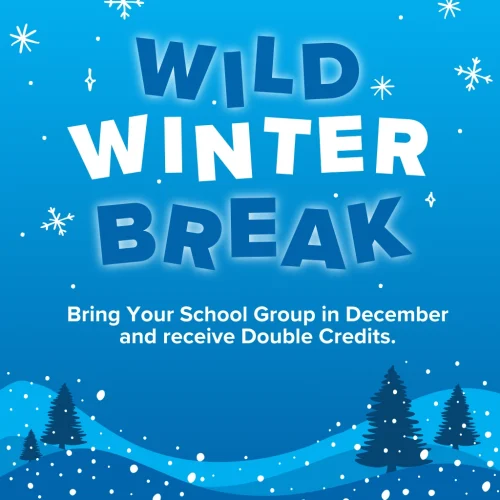 Wild Winter Break 2024